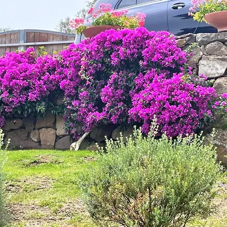 Vila Sandy Cove Patio Sul Mare Golfo Aranci