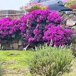 Villa Sandy Cove Patio Sul Mare Golfo Aranci