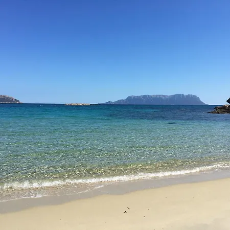 Вилла Sandy Cove Patio Sul Mare Гольфо-Аранчи