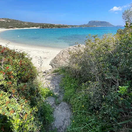 Sandy Cove Patio Sul Mare Вилла *